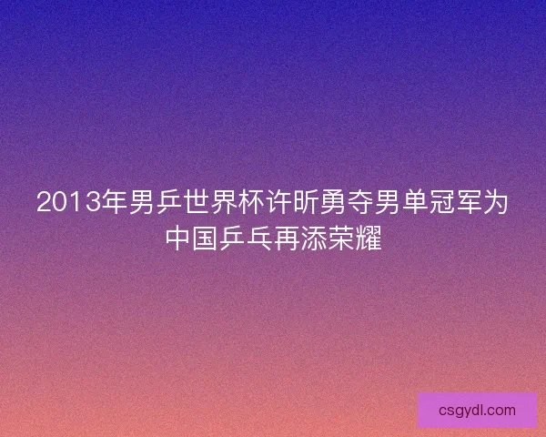 2013年男乒世界杯许昕勇夺男单冠军为中国乒乓再添荣耀