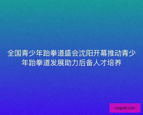 全国青少年跆拳道盛会沈阳开幕推动青少年跆拳道发展助力后备人才培养