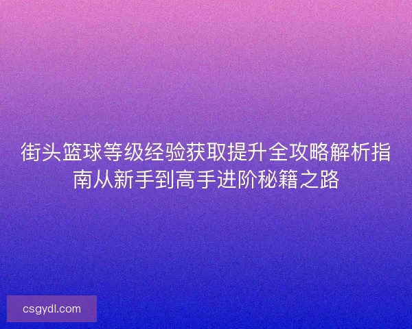 街头篮球等级经验获取提升全攻略解析指南从新手到高手进阶秘籍之路