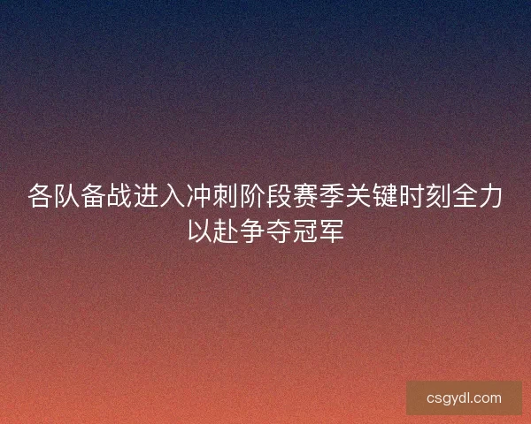 各队备战进入冲刺阶段赛季关键时刻全力以赴争夺冠军