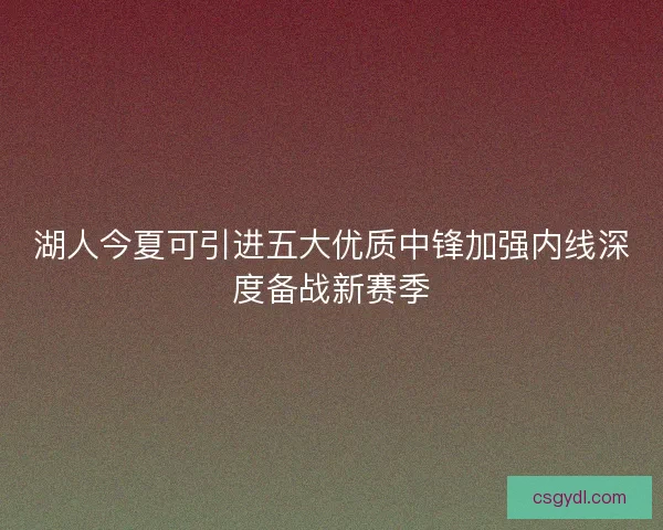 湖人今夏可引进五大优质中锋加强内线深度备战新赛季