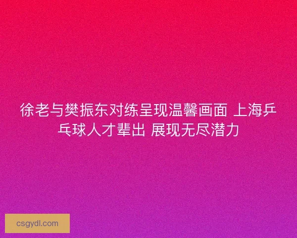 徐老与樊振东对练呈现温馨画面 上海乒乓球人才辈出 展现无尽潜力